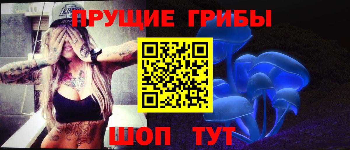 Галлюциногенные грибы Psilocybe Новочебоксарск